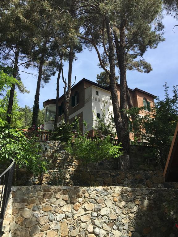 Semiramis Lodge Platres Exterior foto